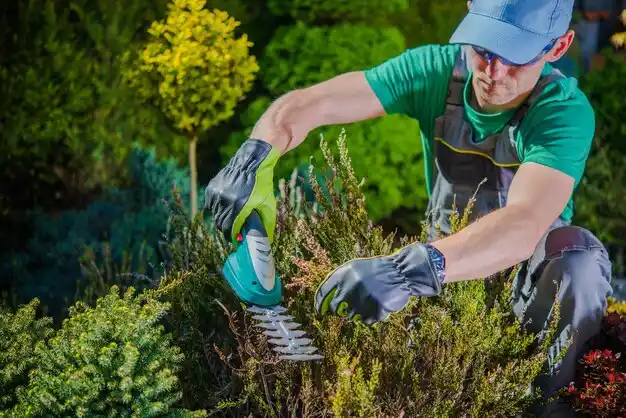 landscaping services Cumberland Head